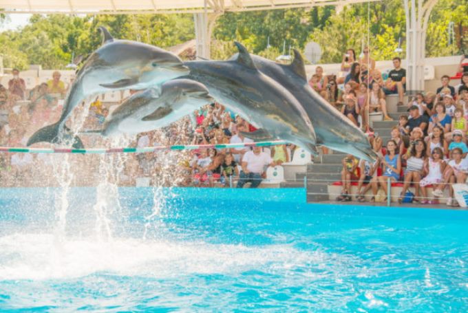 В гостях у Resort&SPA hotel NEMO with dolphins